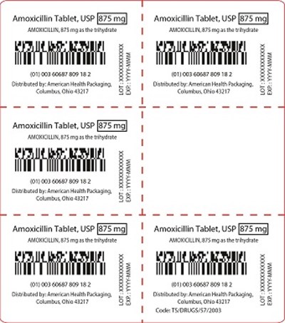 875 mg Amoxicillin Tablet Blister (875 mg Amoxicillin Tablet Blister)